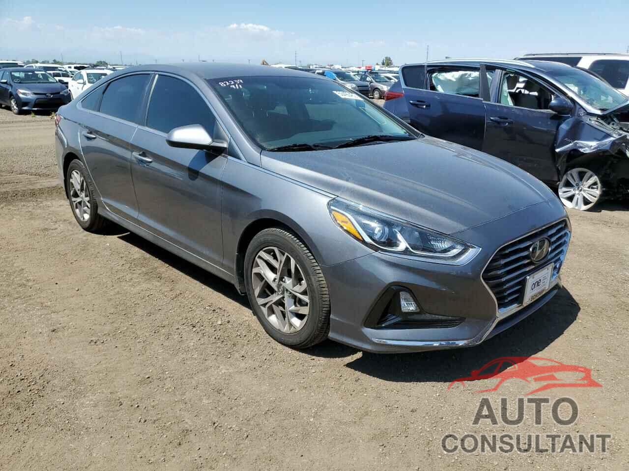 HYUNDAI SONATA 2019 - 5NPE24AFXKH798426