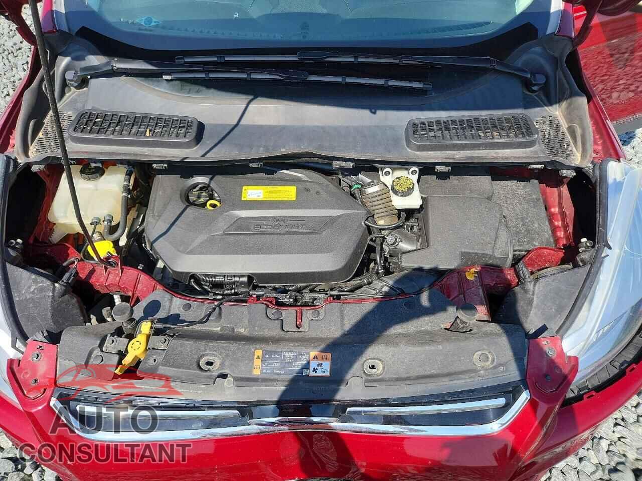 FORD ESCAPE 2014 - 1FMCU0JX4EUC20055