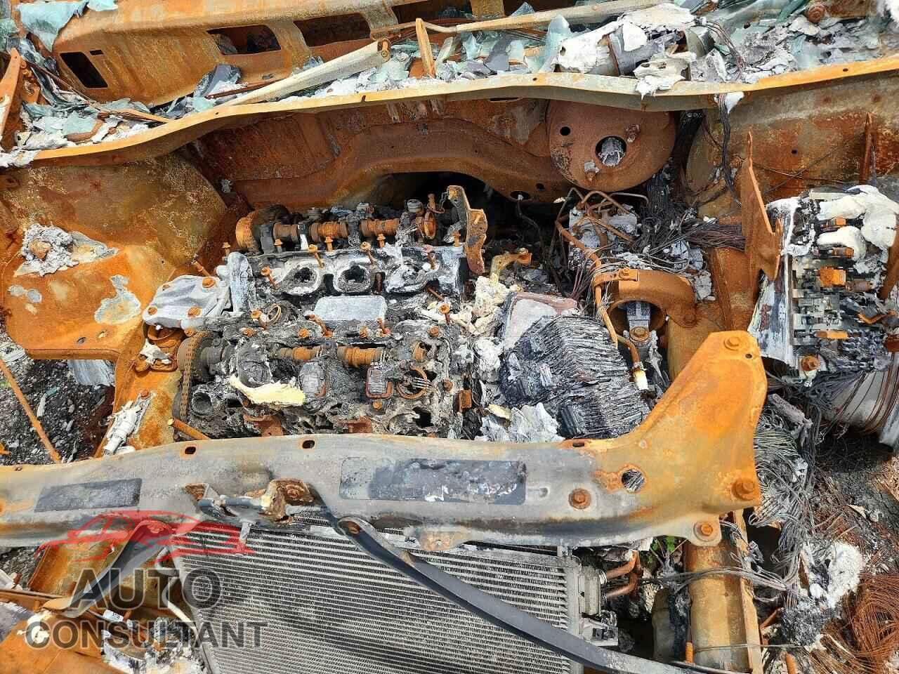 DODGE CARAVAN 2011 - 2D4RN4DG4BR761536