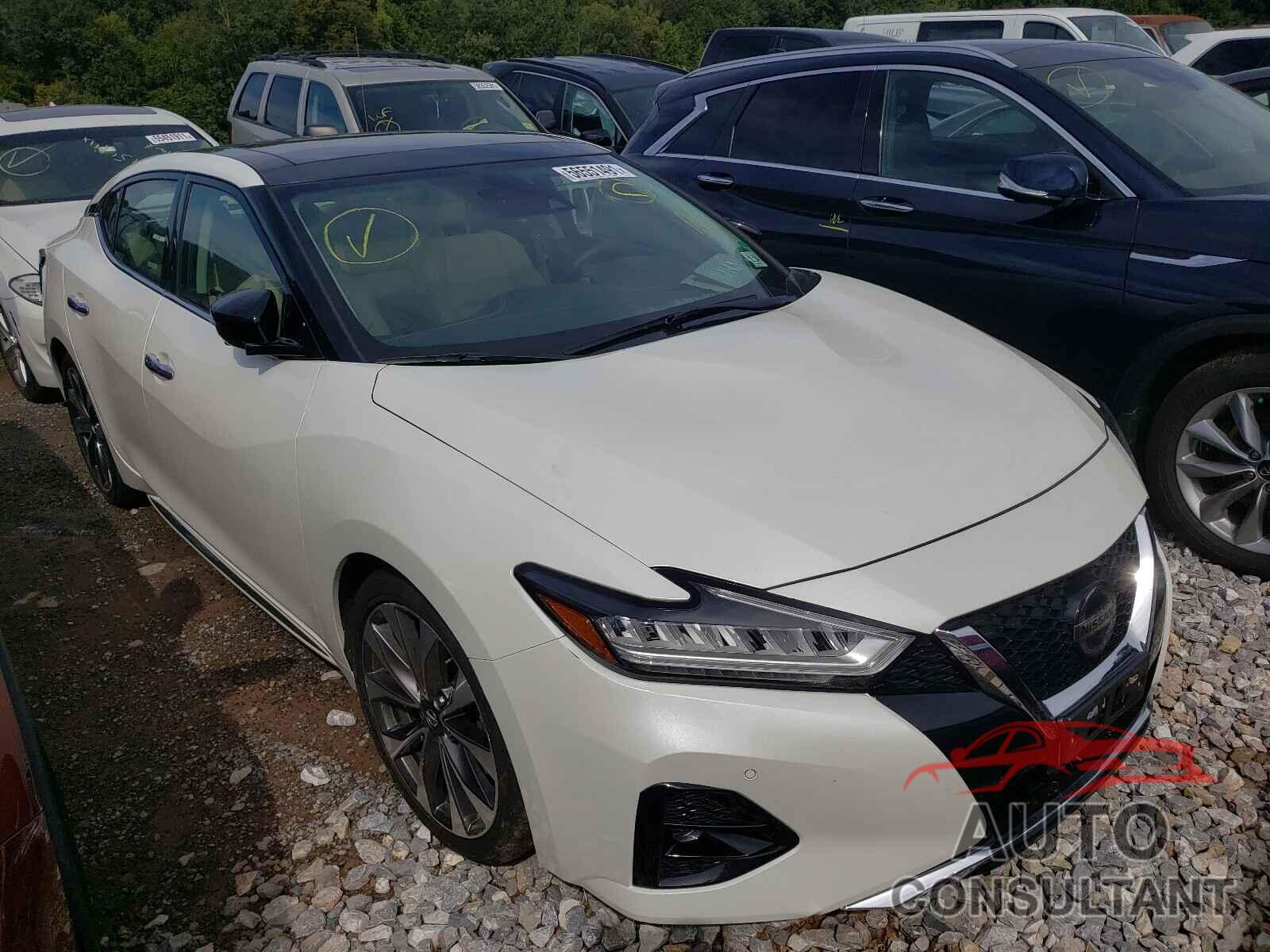 NISSAN MAXIMA 2019 - 1N4AA6AV0KC369267