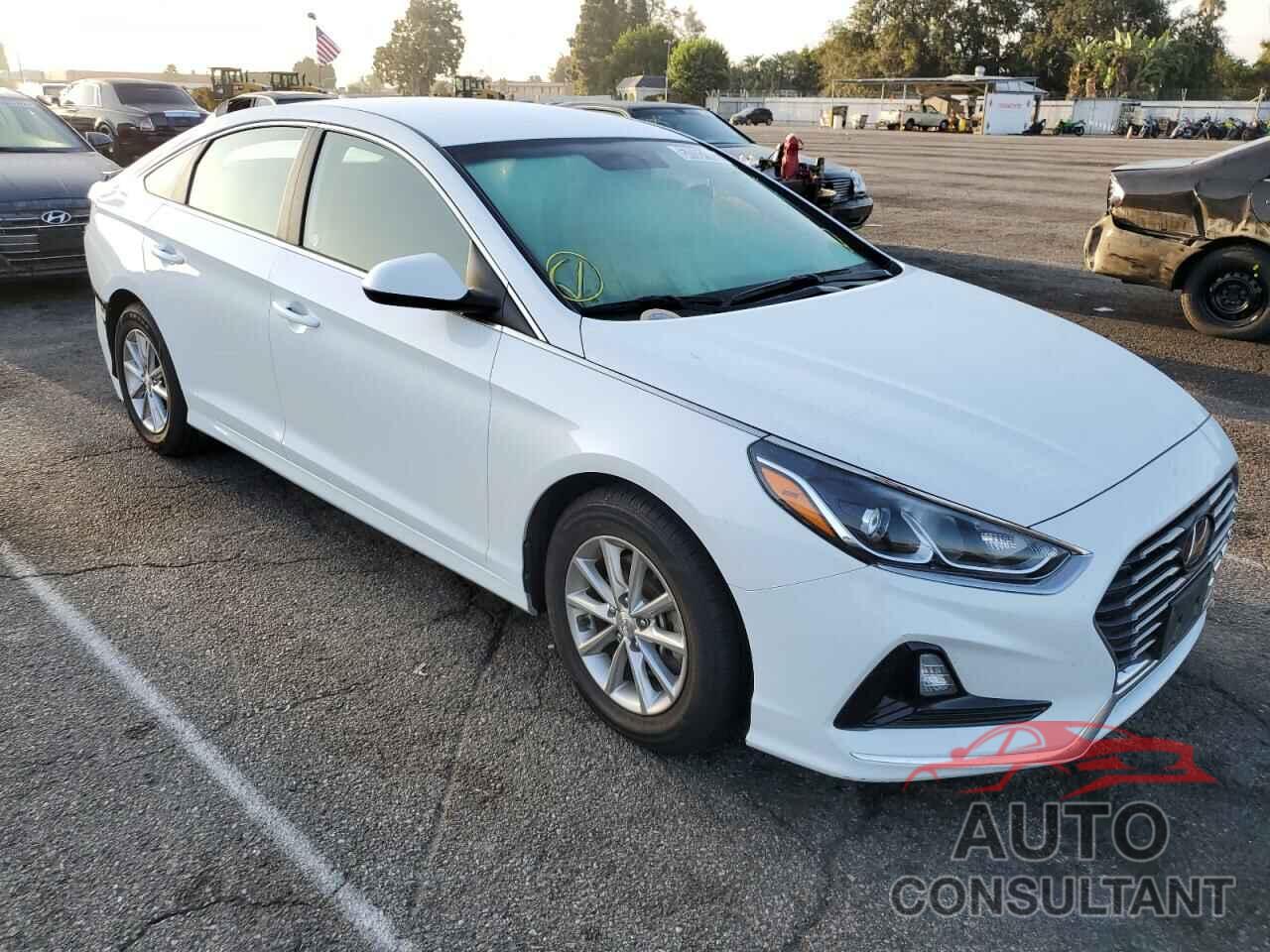 HYUNDAI SONATA 2019 - 5NPE24AF4KH792007