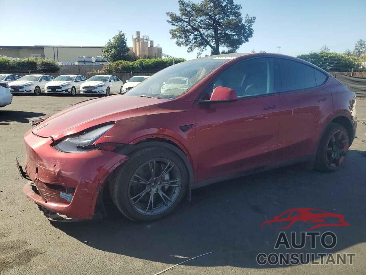 TESLA MODEL Y 2025 - 7SAYGDEE1SF300325