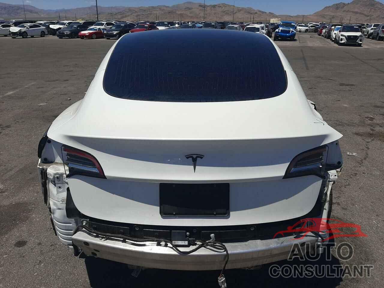 TESLA MODEL 3 2019 - 5YJ3E1EA7KF311774