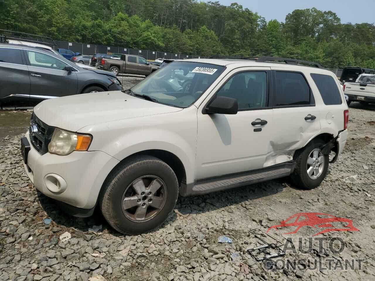 FORD ESCAPE 2011 - 1FMCU0DG6BKA66399