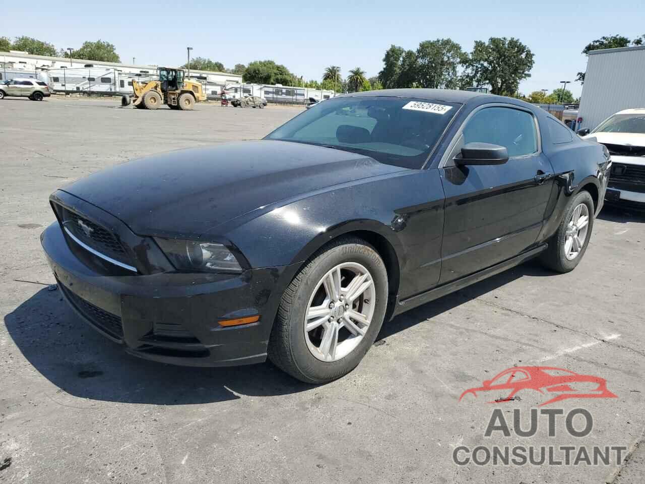 FORD ALL Models 2013 - 1ZVBP8AM6D5243659