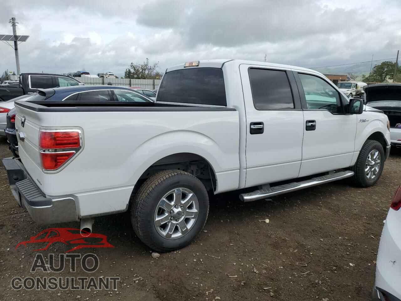 FORD F-150 2013 - 1FTFW1CF5DFD27219