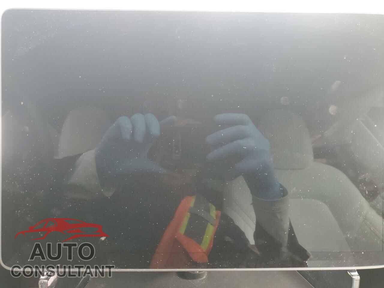 TESLA MODEL Y 2024 - 7SAYGAEE0RF008108