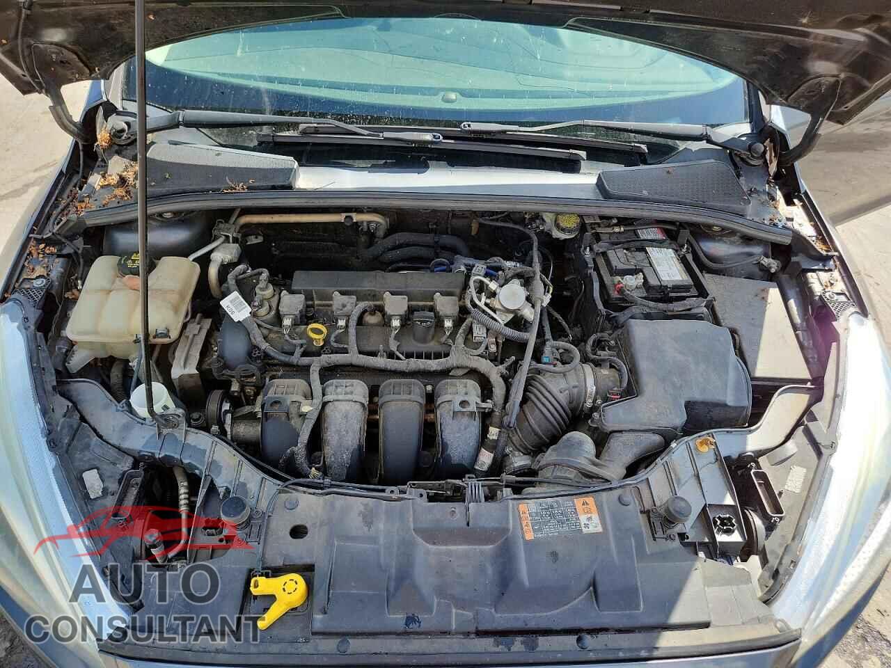 FORD FOCUS 2016 - 1FADP3E29GL389731