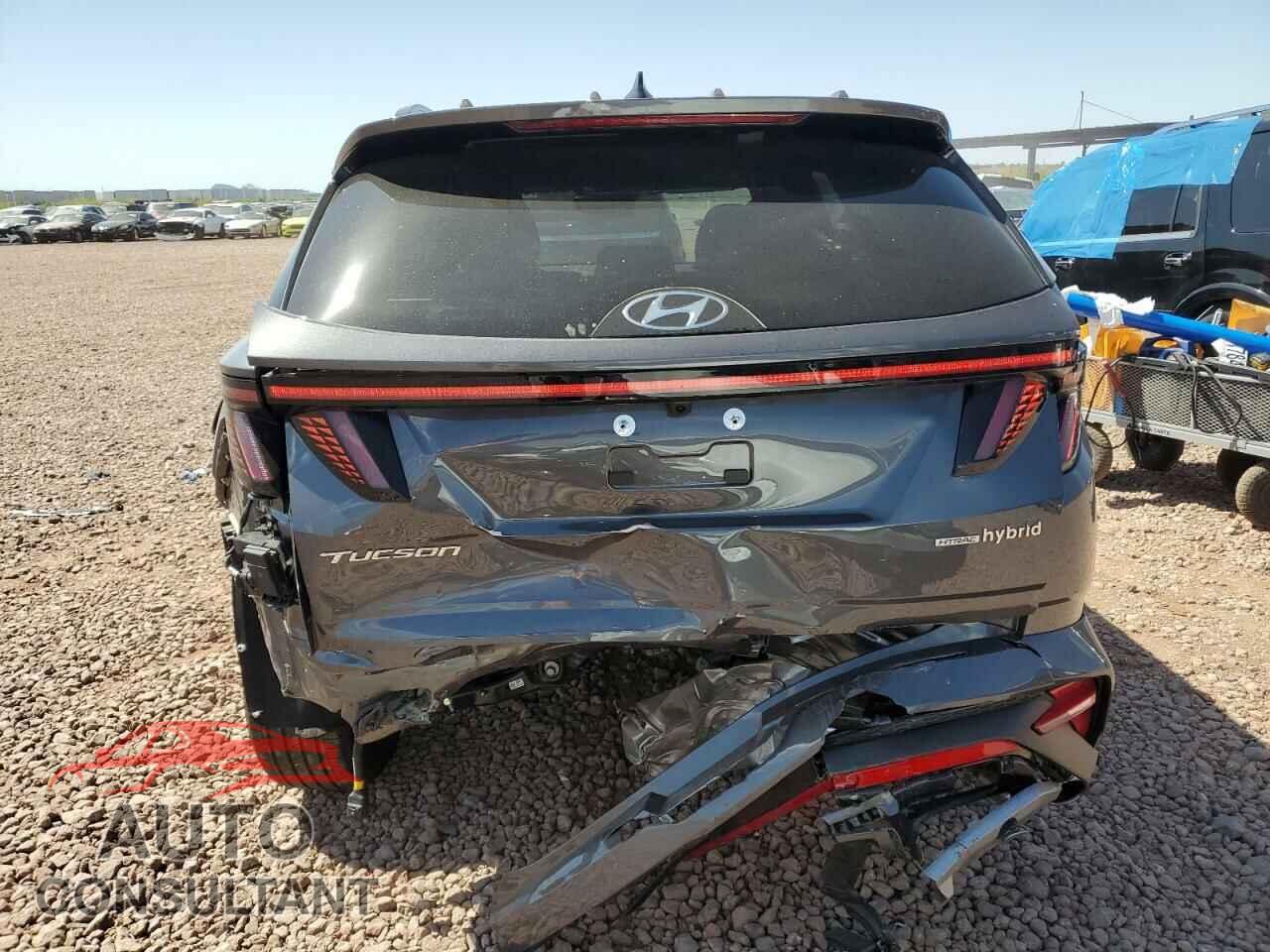 HYUNDAI TUCSON 2024 - KM8JFCD13RU165372