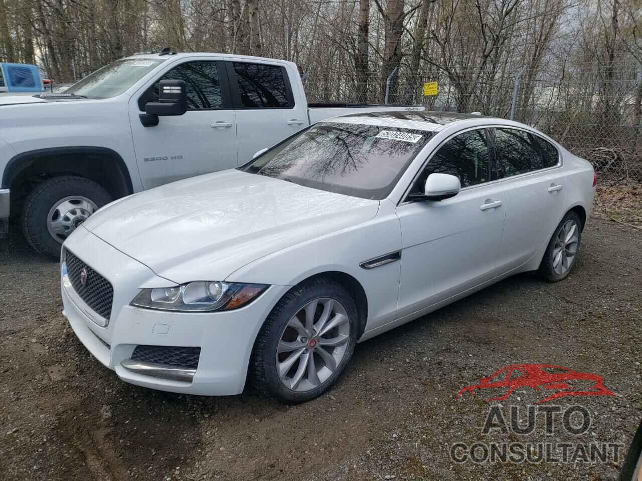 JAGUAR XF 2019 - SAJBJ4FX0KCY79424