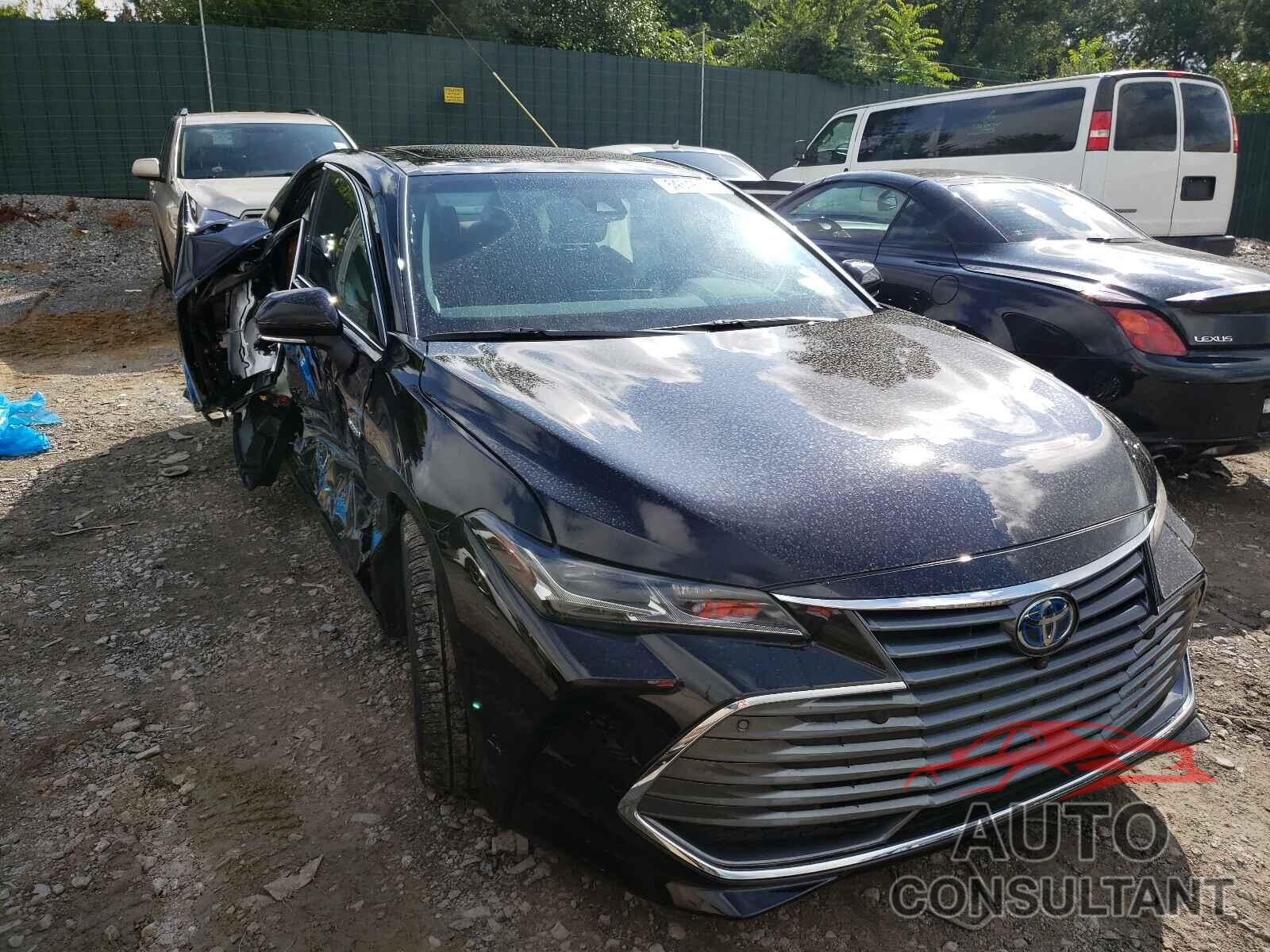 TOYOTA AVALON 2019 - 4T1B21FB7KU011568