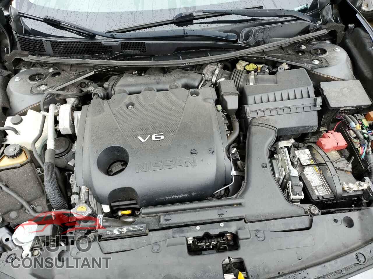 NISSAN MAXIMA 2016 - 1N4AA6AP1GC382070