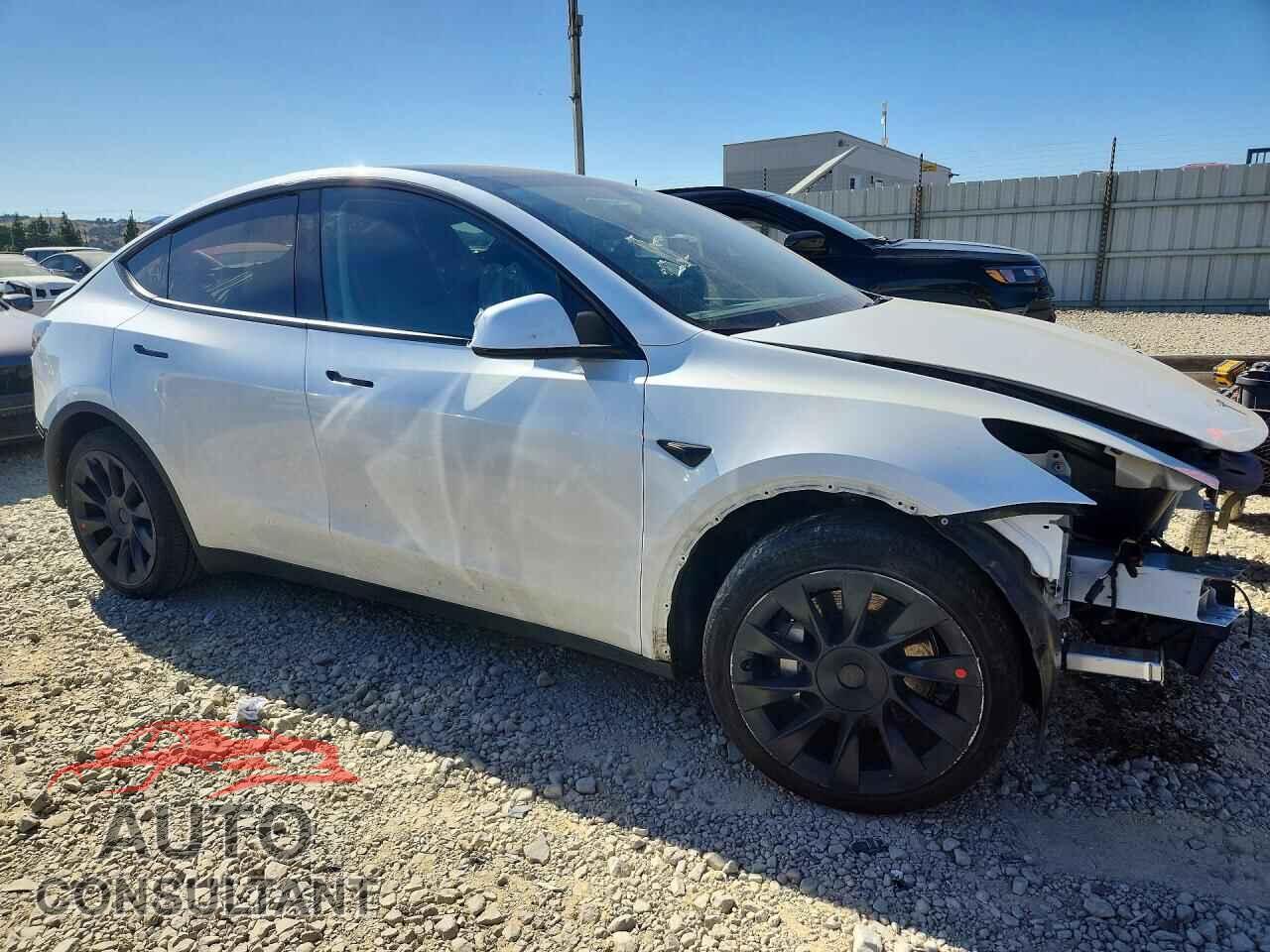 TESLA MODEL Y 2024 - 7SAYGAEE2RF008613