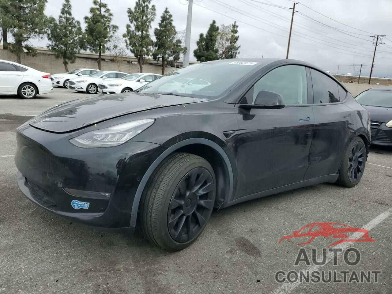 TESLA MODEL Y 2021 - 5YJYGAEE5MF143672