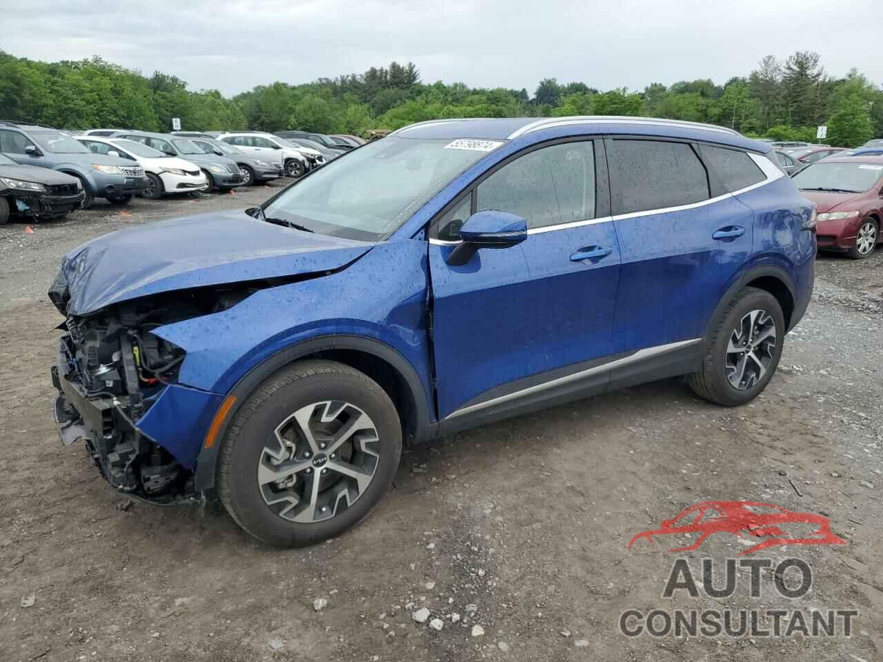 KIA SPORTAGE 2024 - 5XYK3CDF0RG151508