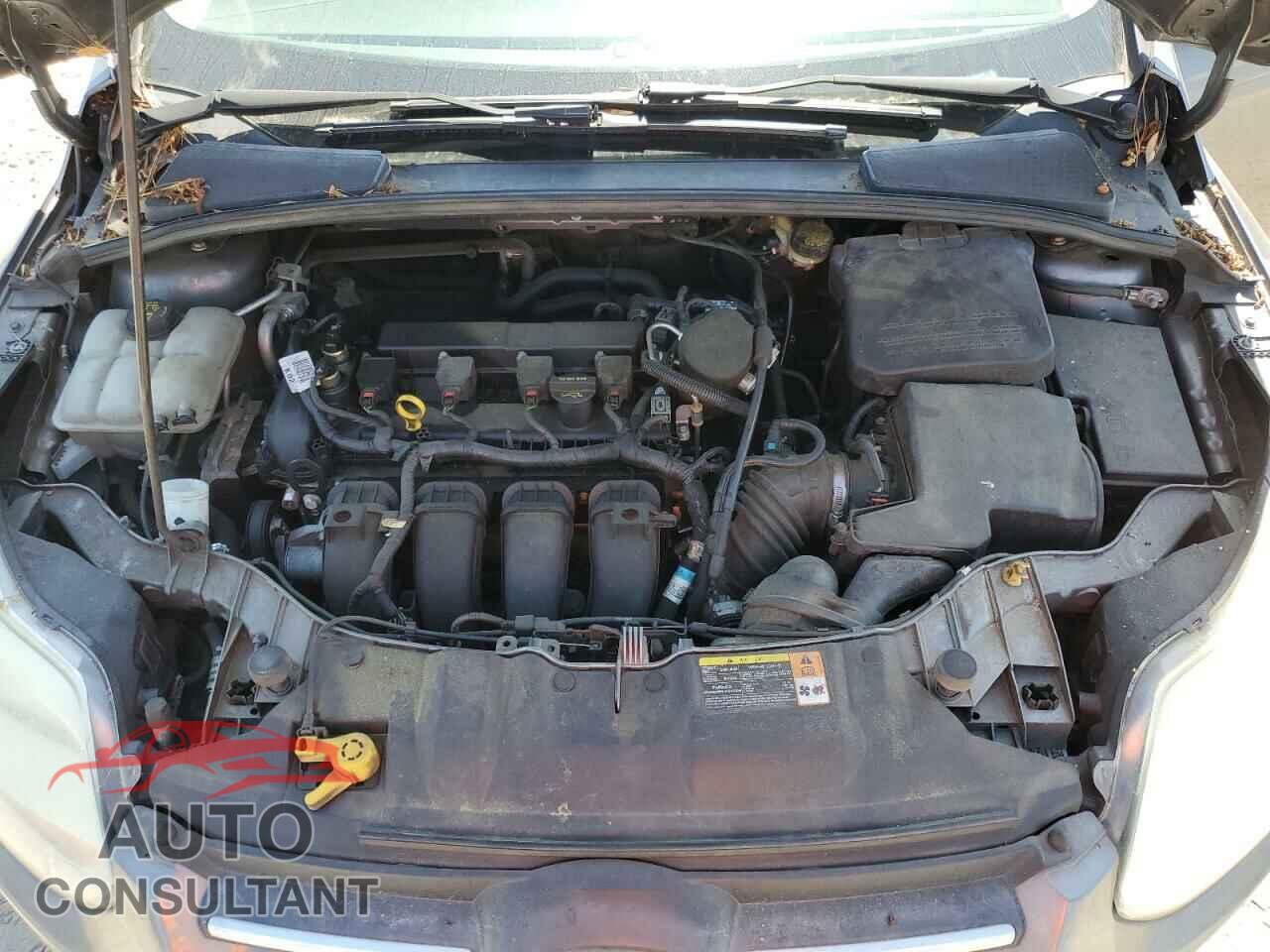 FORD FOCUS 2014 - 1FADP3F23EL202902