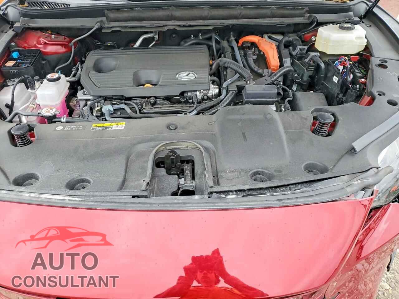 LEXUS UNKNOWN 2025 - 2T2BBMCA6SC083002