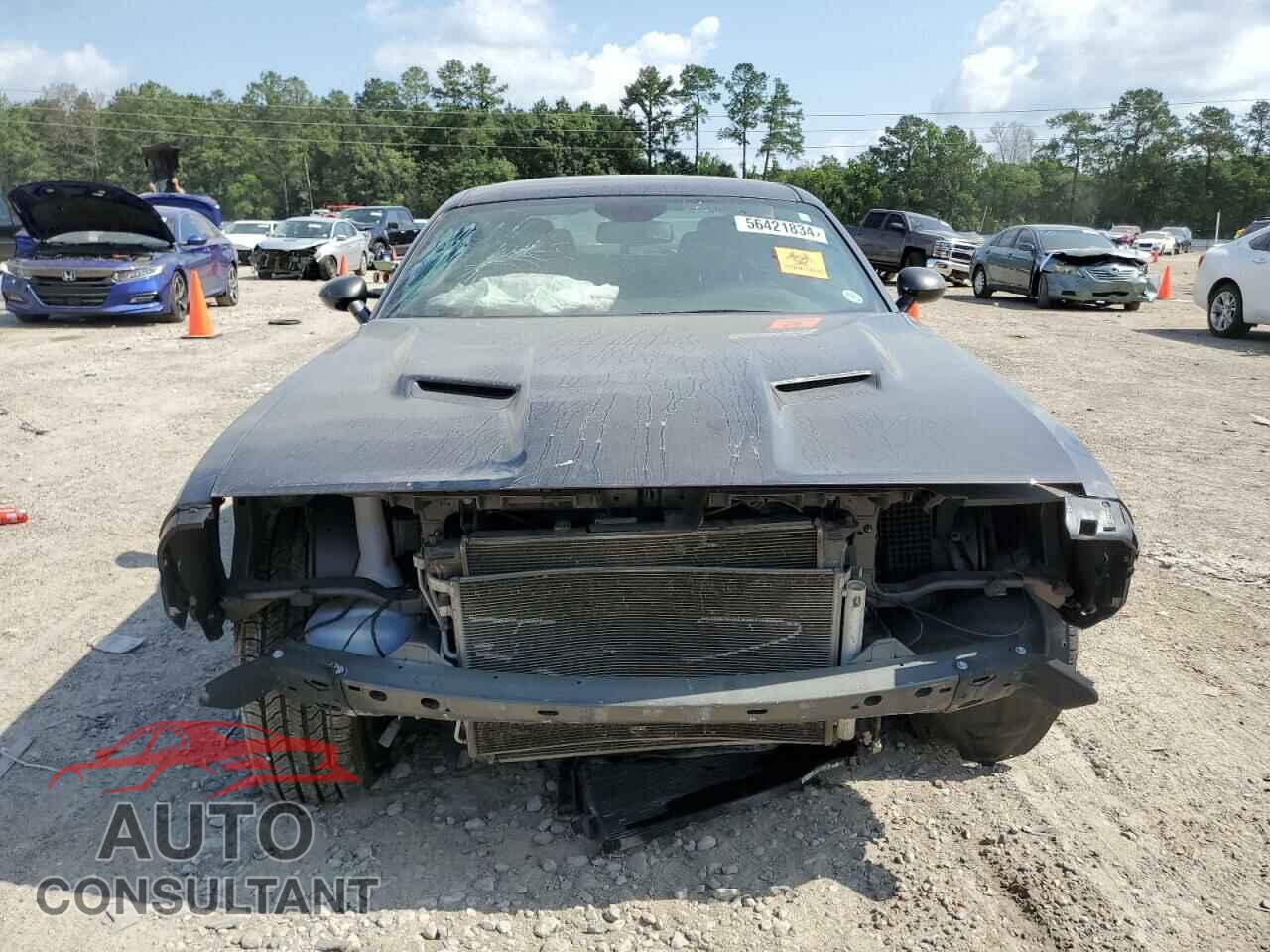 DODGE CHALLENGER 2019 - 2C3CDZAG4KH729235