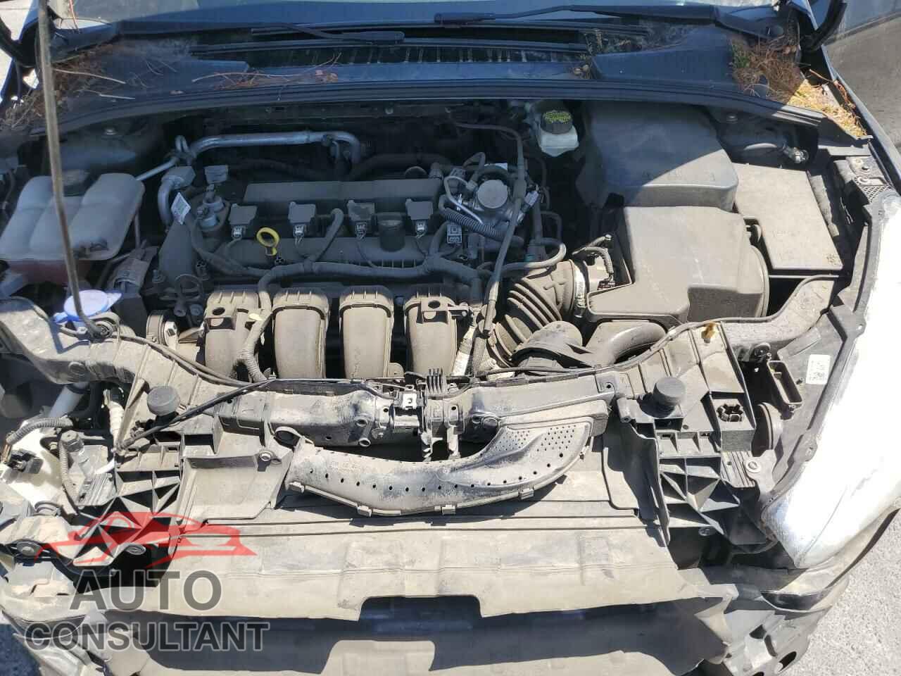 FORD FOCUS 2017 - 1FADP3F23HL263736