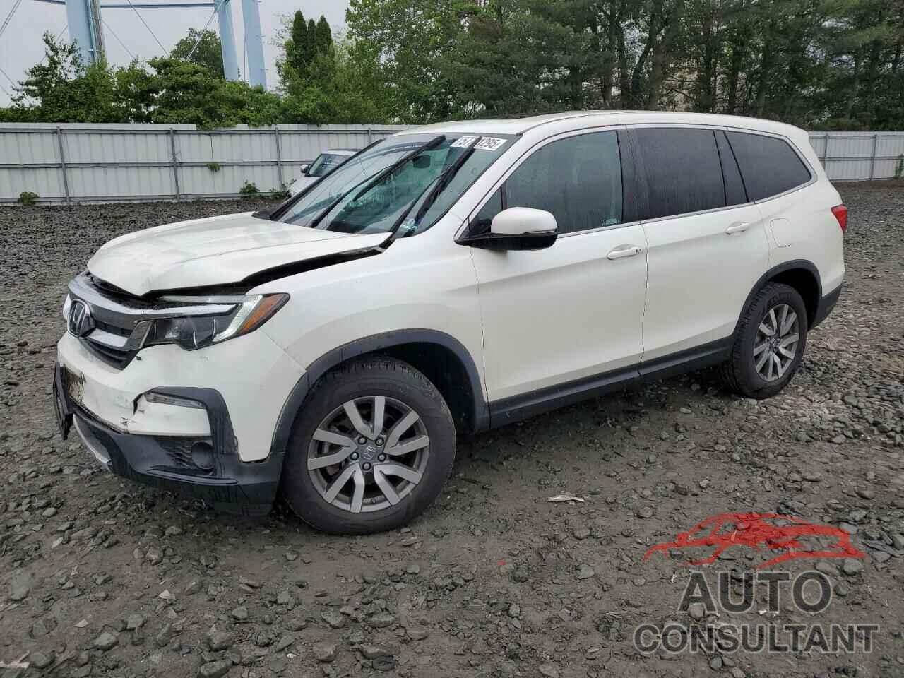HONDA PILOT 2019 - 5FNYF6H5XKB050512