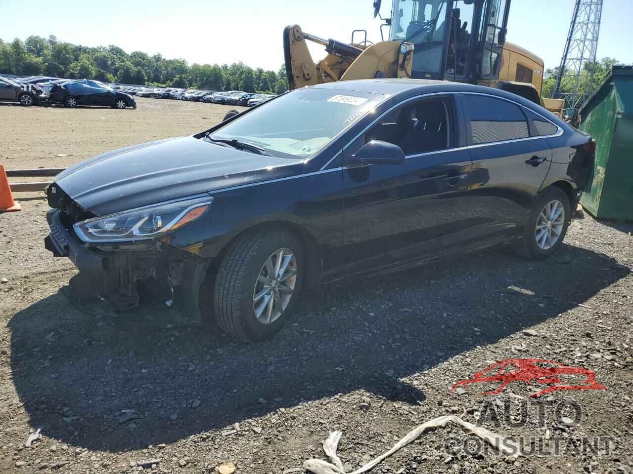 HYUNDAI SONATA 2019 - 5NPE24AF9KH797350