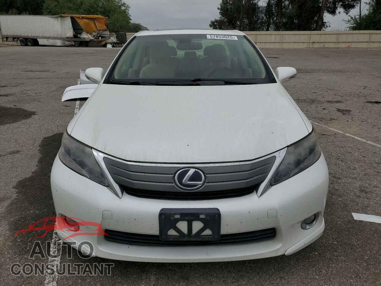 LEXUS HS 2010 - JTHBB1BA0A2021546