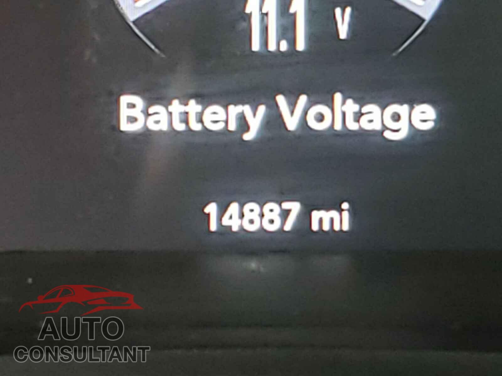 DODGE CHALLENGER 2019 - 2C3CDZAG3KH671988