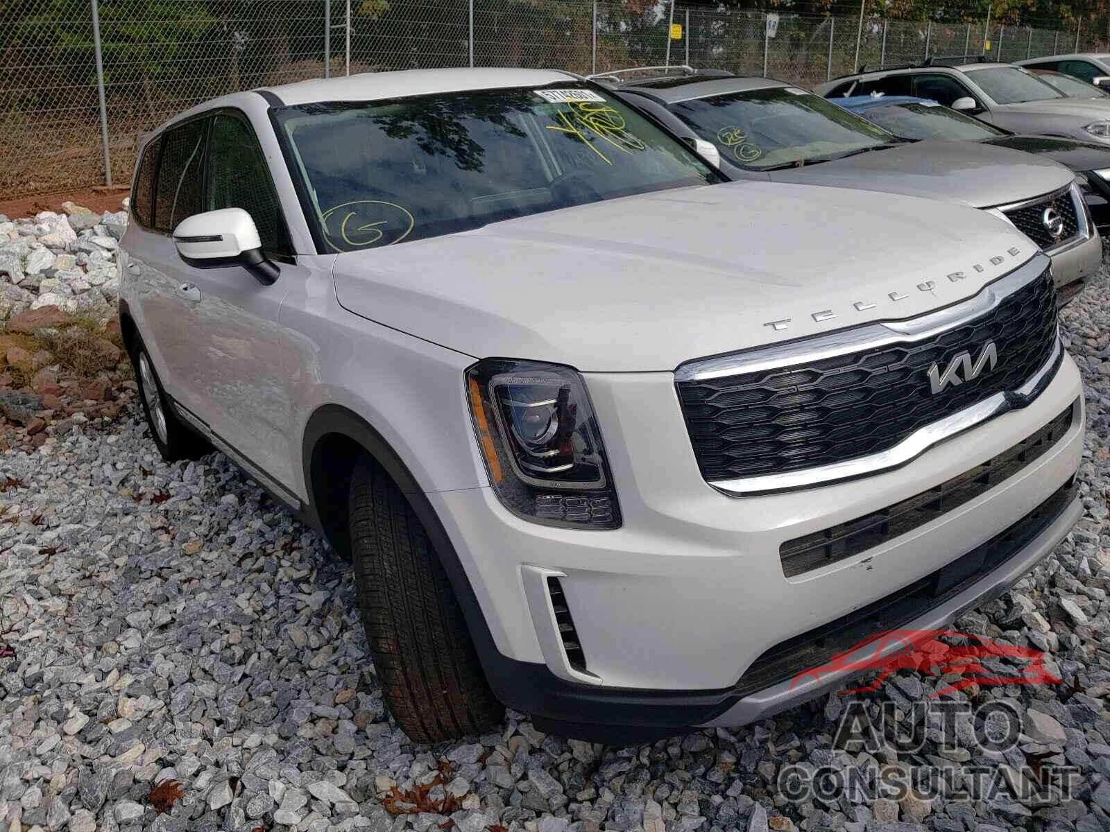 KIA TELLURIDE 2022 - 5XYP2DHC2NG200989