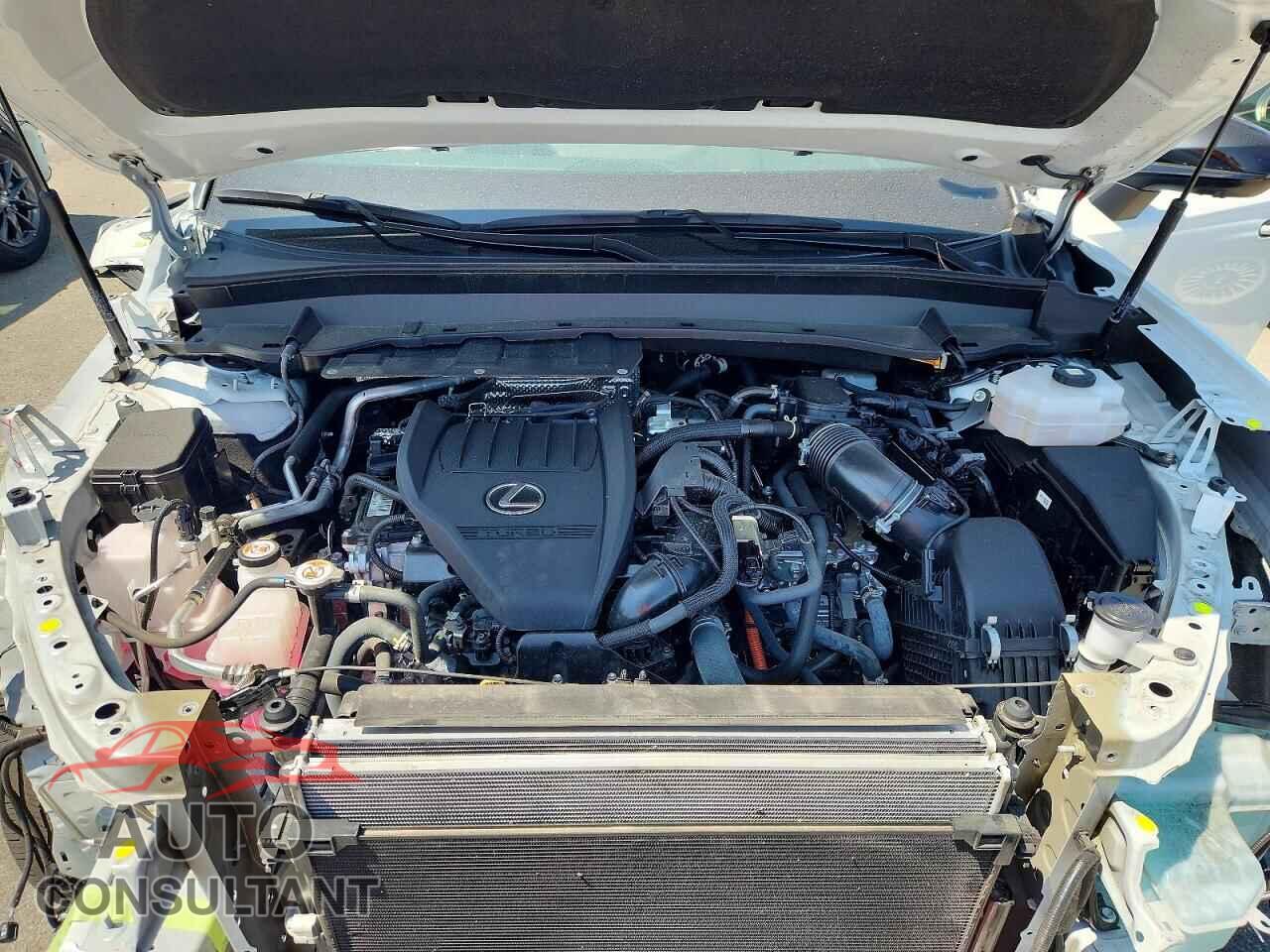LEXUS UNKNOWN 2025 - 5TDABAB64SS007412