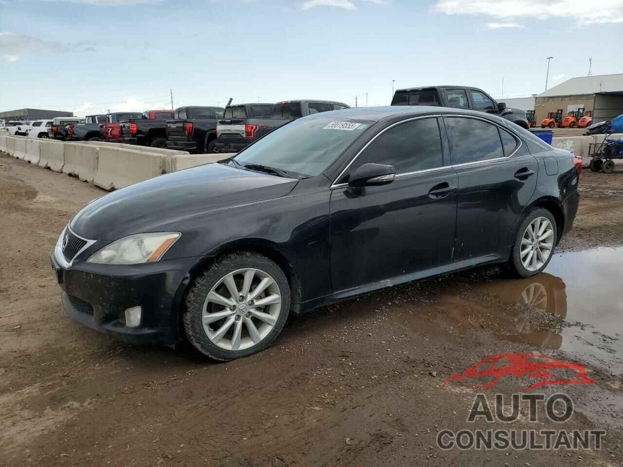 LEXUS IS 2009 - JTHCK262295035861