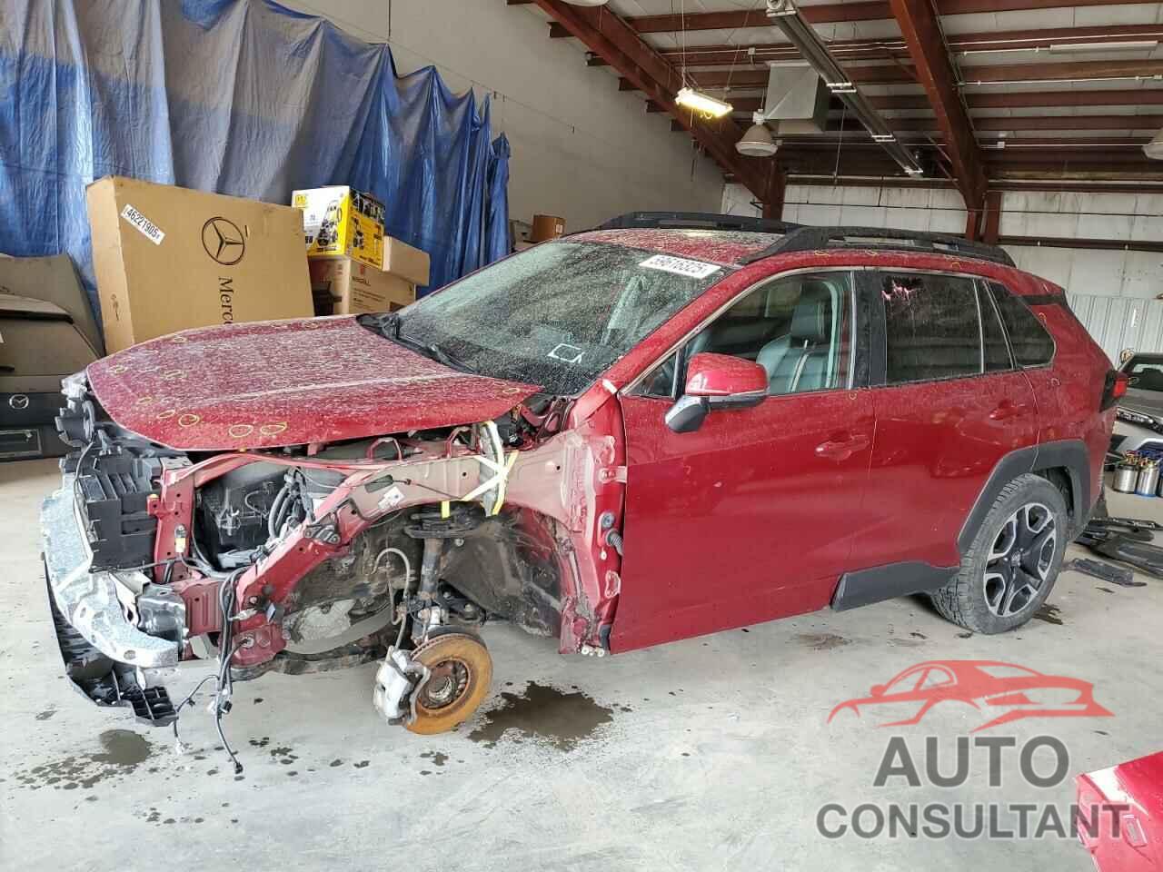 TOYOTA RAV4 2019 - 2T3J1RFV0KW026749