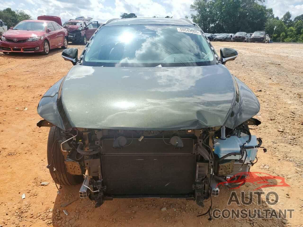 LEXUS RX 350H BA 2024 - 2T2BBMCA7RC043862