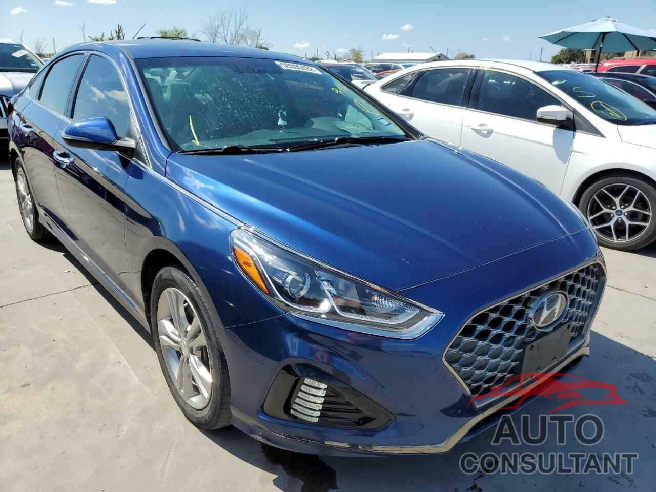 HYUNDAI SONATA 2019 - 5NPE34AF9KH772588