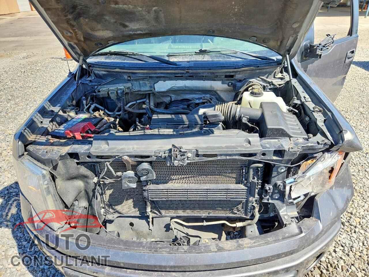 FORD F150 2013 - 1FTFX1EF9DFD03516