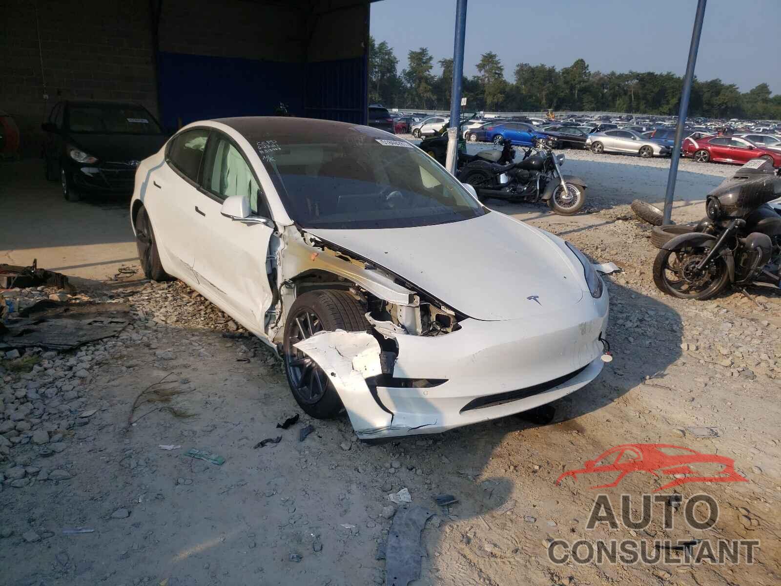 TESLA MODEL 3 2019 - 5YJ3E1EA6KF313953