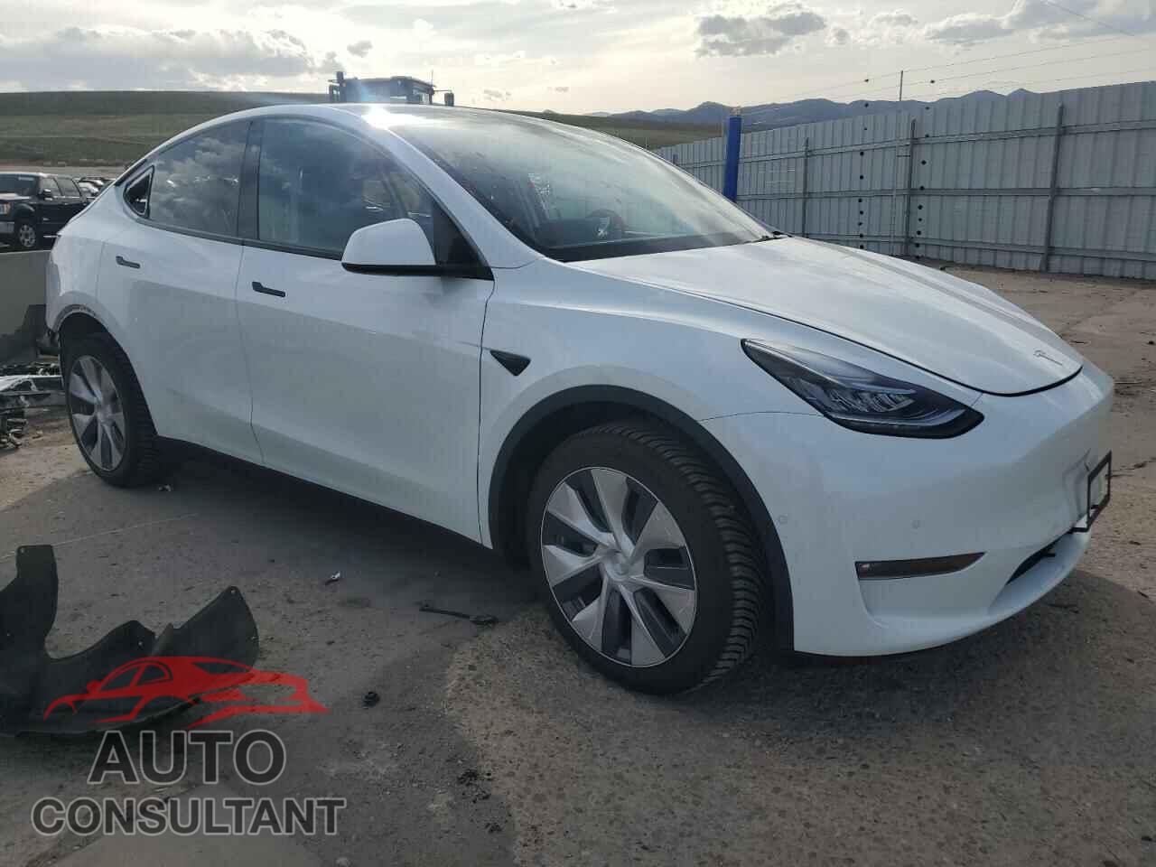 TESLA MODEL Y 2021 - 5YJYGDEEXMF299515