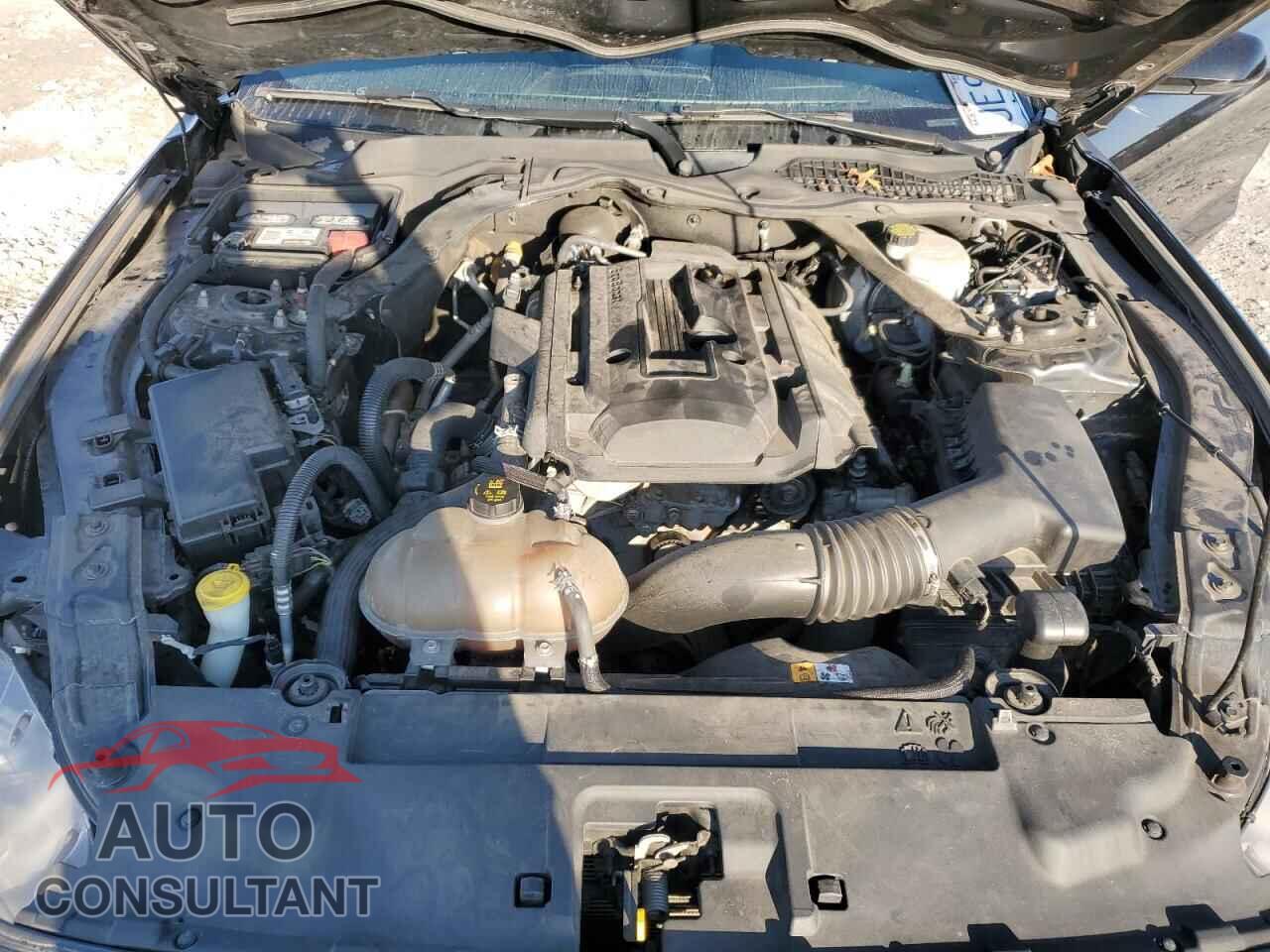 FORD ALL Models 2018 - 1FATP8UH8J5110103