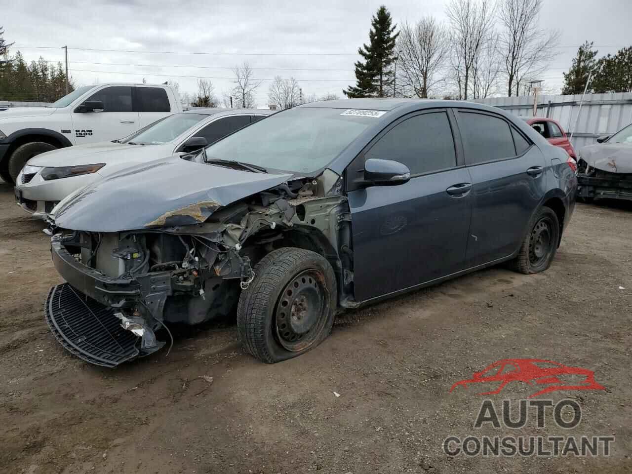 TOYOTA COROLLA 2016 - 2T1BURHE2GC662227