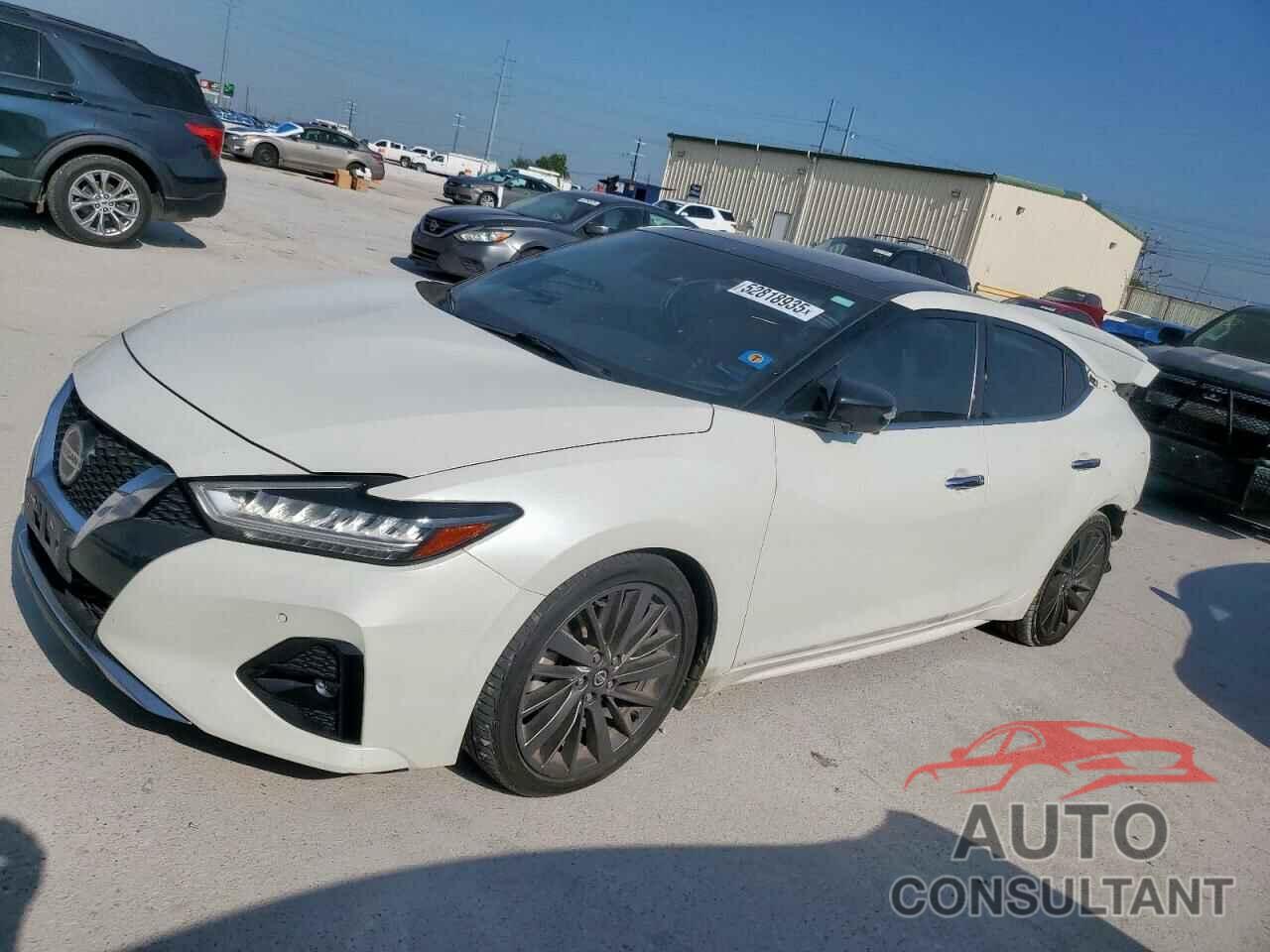NISSAN MAXIMA 2019 - 1N4AA6AV4KC375072