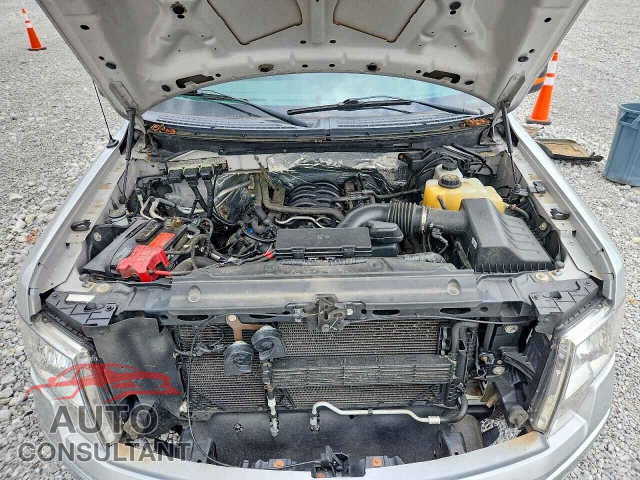 FORD F150 2013 - 1FTFX1EF2DFD78865