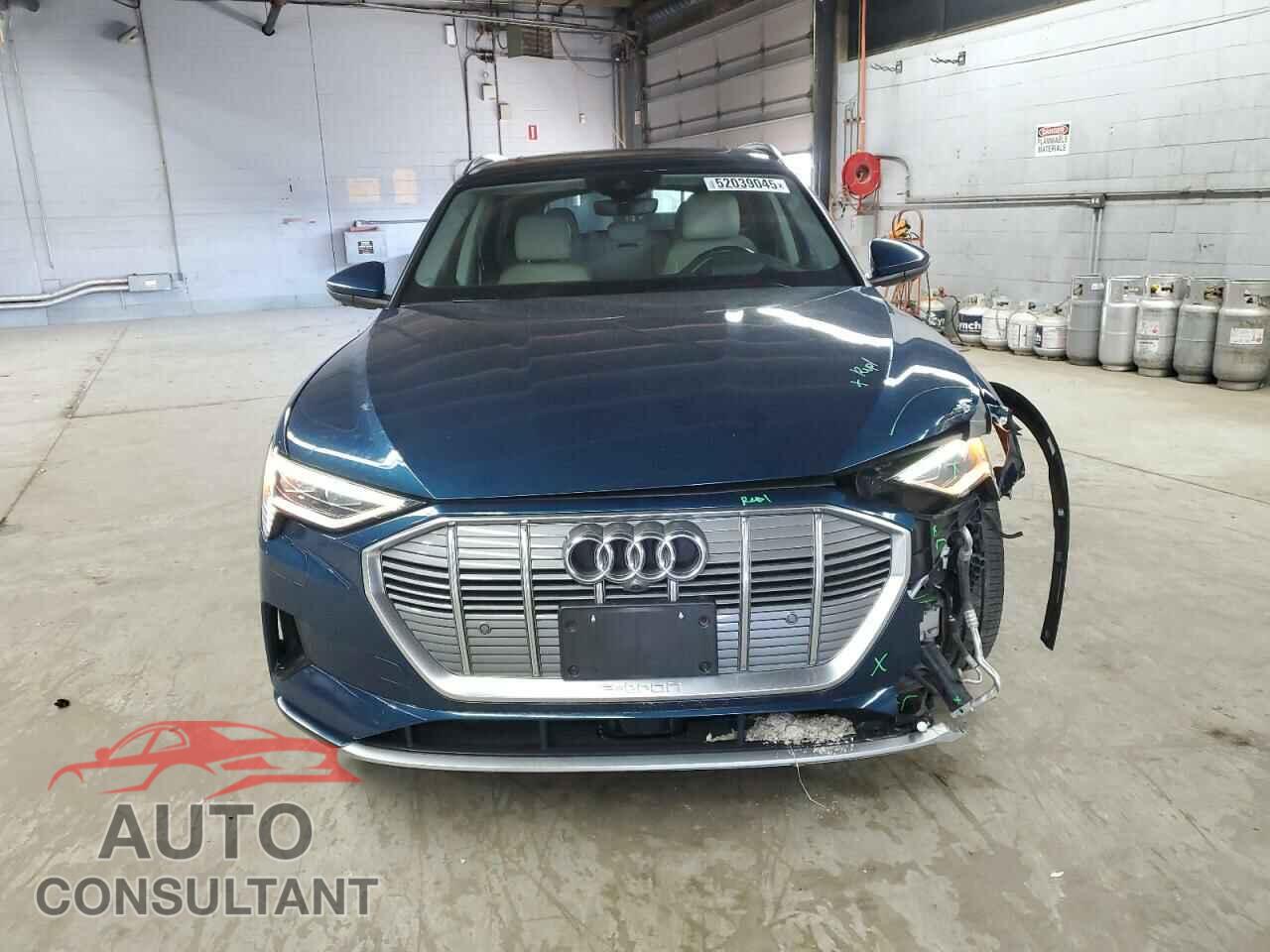 AUDI E-TRON 2019 - WA1VABGE2KB010143