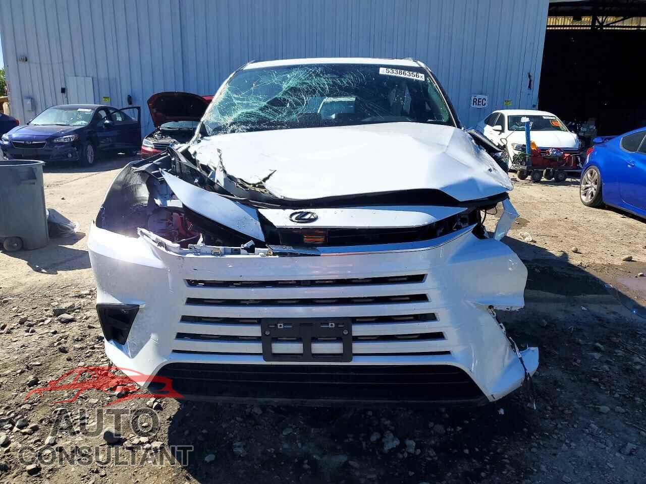 LEXUS UNKNOWN 2026 - 5TDAAAB69TS056383