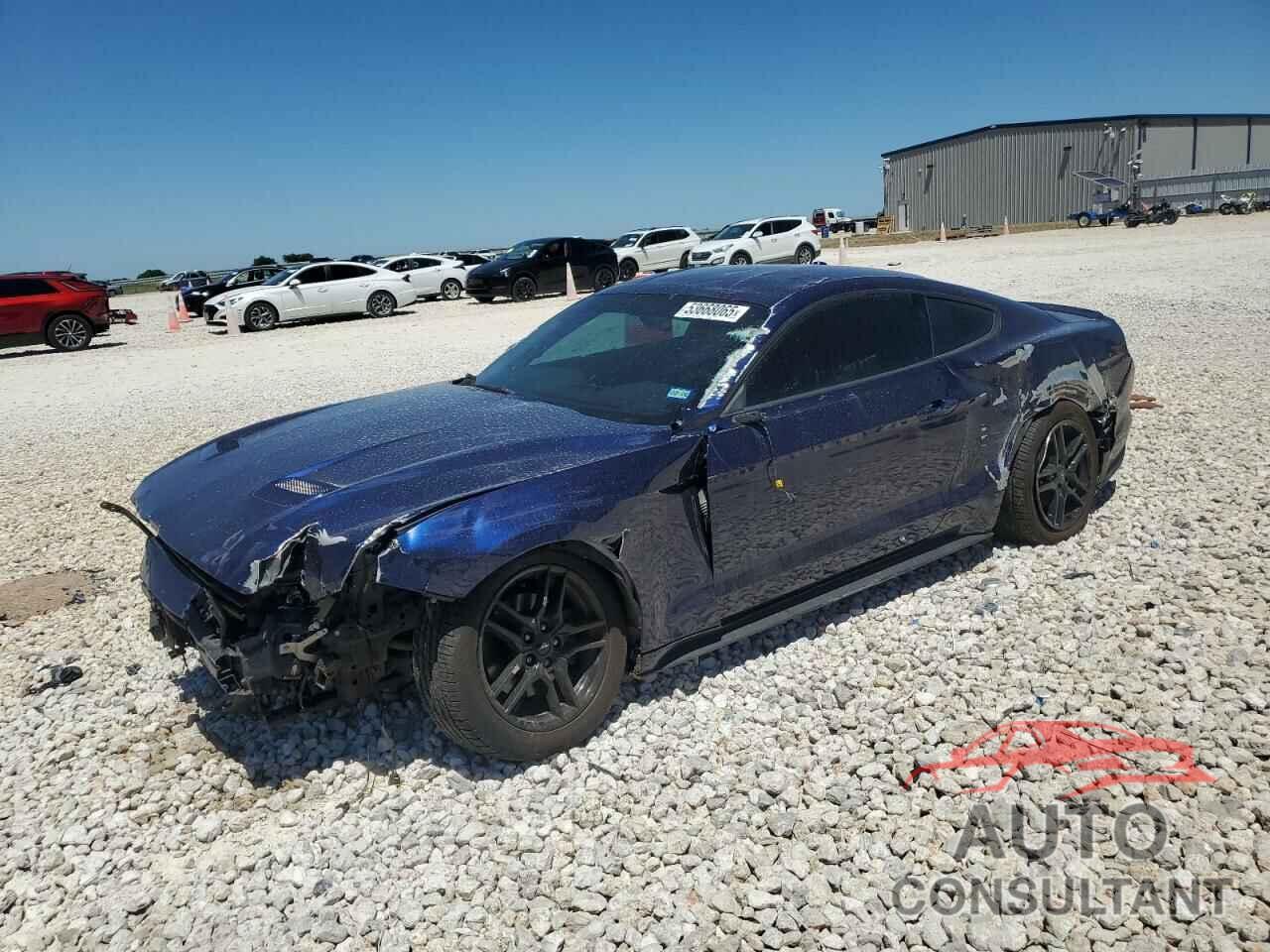 FORD ALL Models 2019 - 1FA6P8TH0K5134153