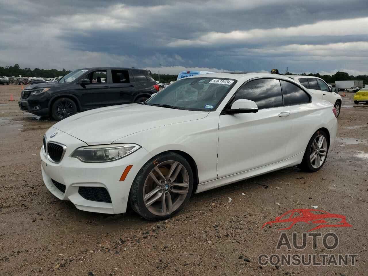 BMW 2 SERIES 2016 - WBA1F9C54GV545014