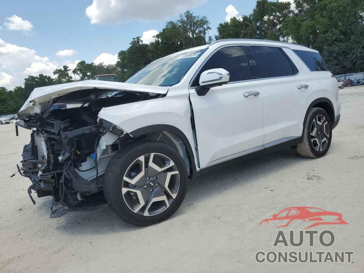 HYUNDAI PALISADE 2024 - KM8R54GE6RU648736