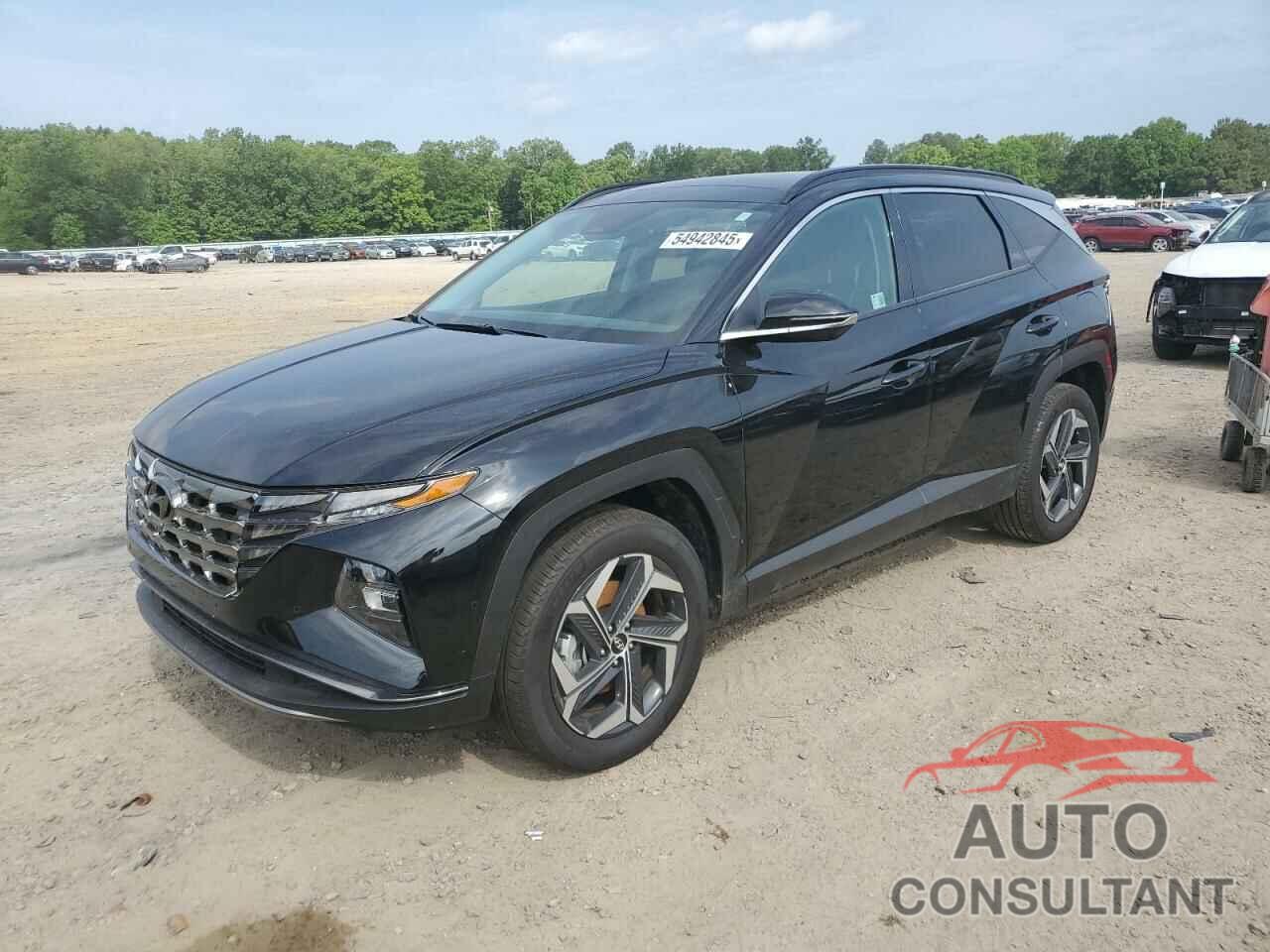 HYUNDAI TUCSON 2024 - KM8JECD13RU180974