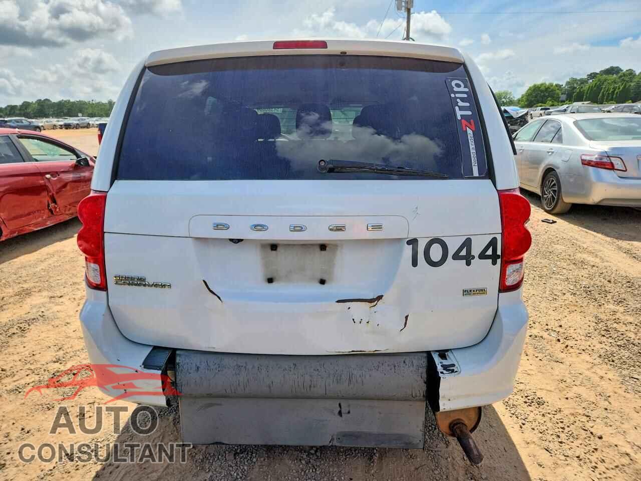 DODGE CARAVAN 2019 - 2C4RDGBG1KR796314