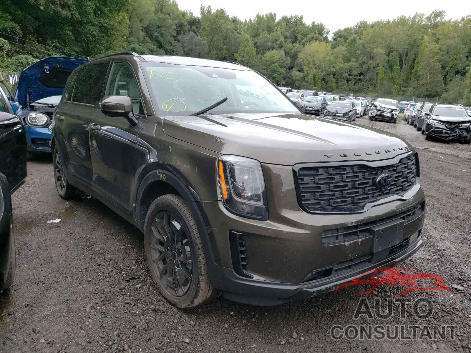 KIA TELLURIDE 2021 - 5XYP5DHC8MG116259