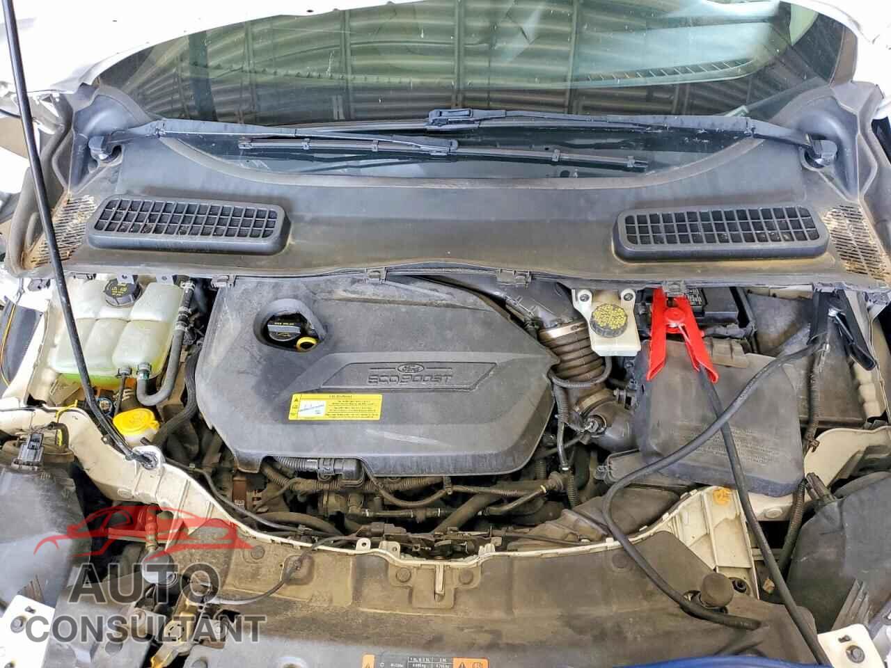 FORD ESCAPE 2014 - 1FMCU9GX4EUB87456