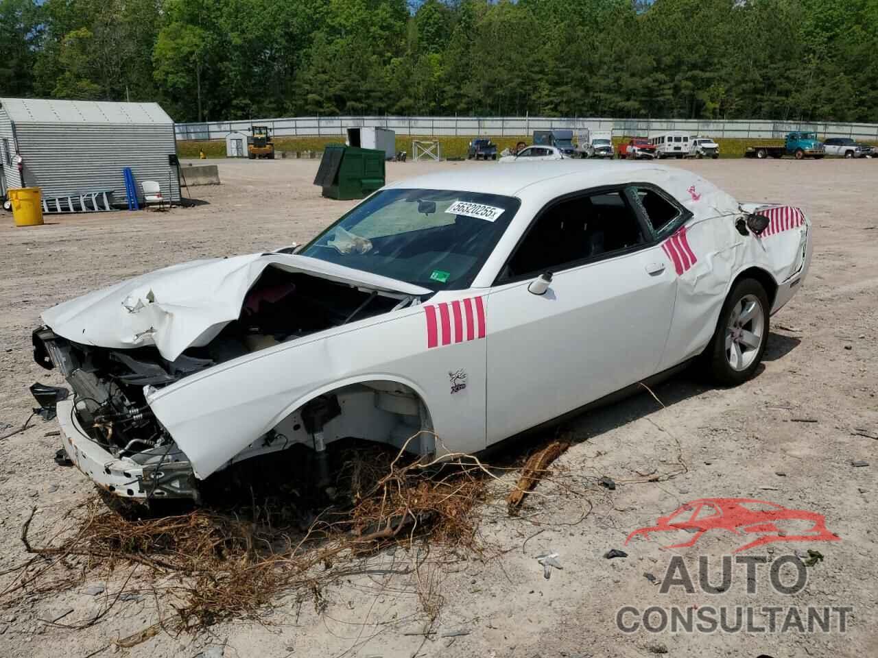 DODGE CHALLENGER 2013 - 2C3CDYAG2DH628000